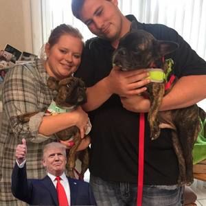 Meet your Posher, Tanner